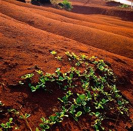 山西文旅发布《黑神话》宣传片：跟着悟空一起游山西